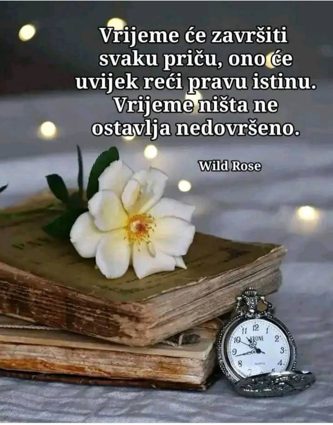 Ovaj stih ,je pouka da smo svi jedinstveni i da svak  ostavi trag na ovom svijetu